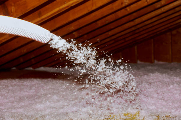 Best Garage Insulation Installation  in Gibraltar, MI